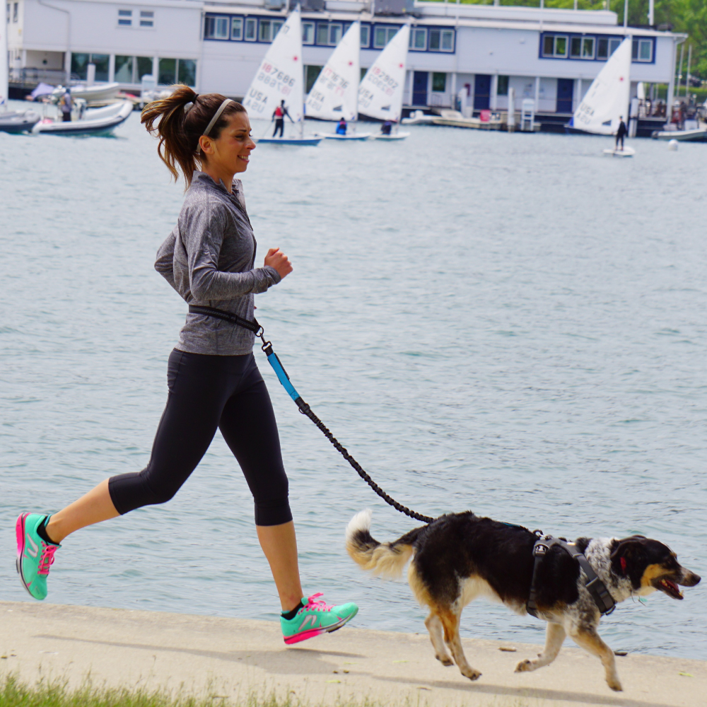 Hand Free Dog Leash for Pet Wa - огляд і ціна Running Gear Belt